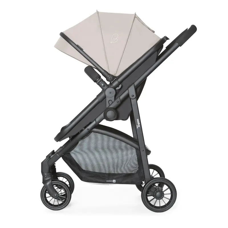 Asalvo Cabrio Biarritz Stein