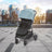 Asalvo Cabrio Dubai 2 Olive
