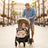 Asalvo Kinderwagen Fiyi Beige