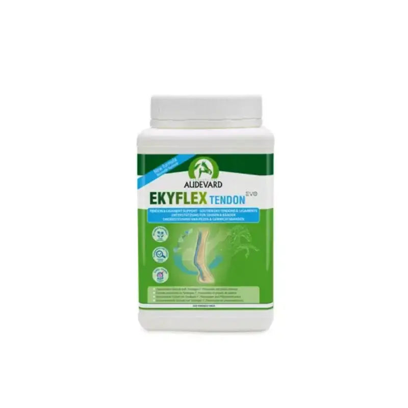 Audevard Audevard Ekyflex-Sehne Evo 900Gr (Ndr)