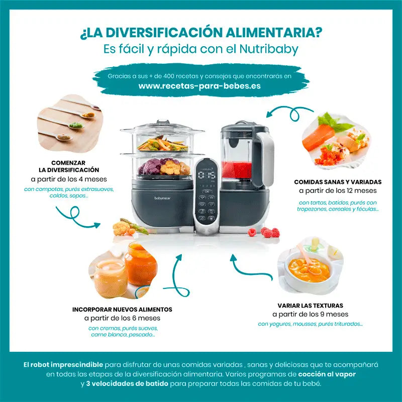Babymoov Nutribaby (+) Industrielle graue Küchenmaschine Mixer und Dampfgarer
