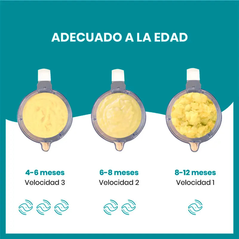 Babymoov Nutribaby (+) Industrielle graue Küchenmaschine Mixer und Dampfgarer