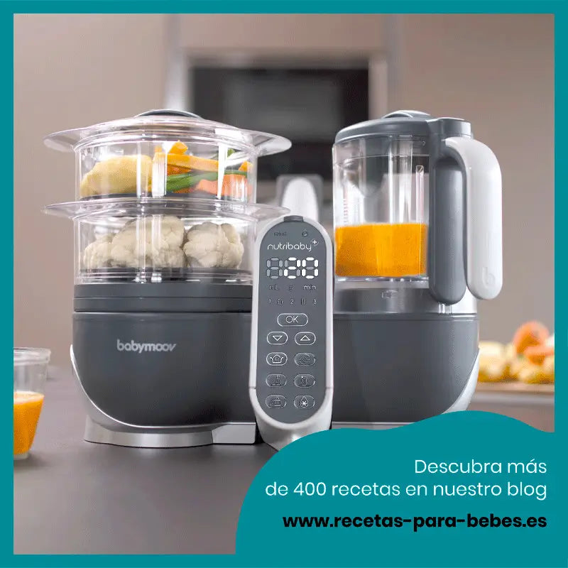Babymoov Nutribaby (+) Industrielle graue Küchenmaschine Mixer und Dampfgarer