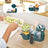Babymoov Baby Multifunktionsroboter 6-in-1 Nutribaby(+) Opal Grün