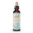 Bach Buche, 20 ml