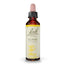 Bach Ginster 20 ml