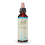 Bach Eisenkraut 20 ml