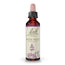 Bach Wasser Veilchen 20 ml