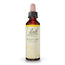 Bach Wild Oat 20 ml
