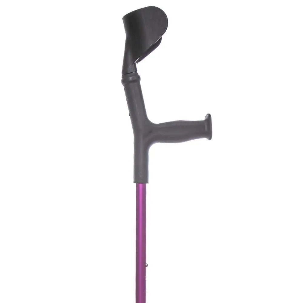 Englischer Birreg-Spazierstock, violett (Stück)