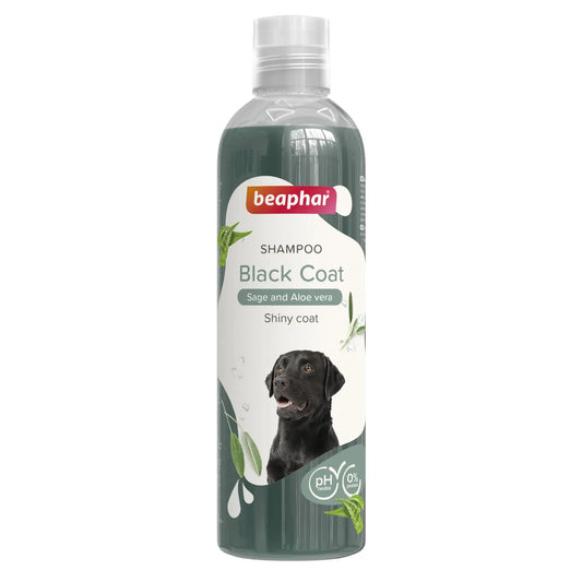 Beaphar Hundeshampoo Schwarzes Haar, 250 ml