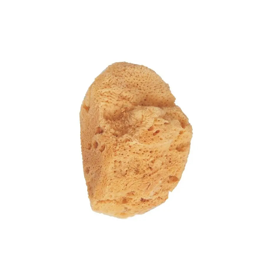 Beter Natural Marine Sponge Small
