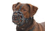Plastic Buster Muzzle Size 1