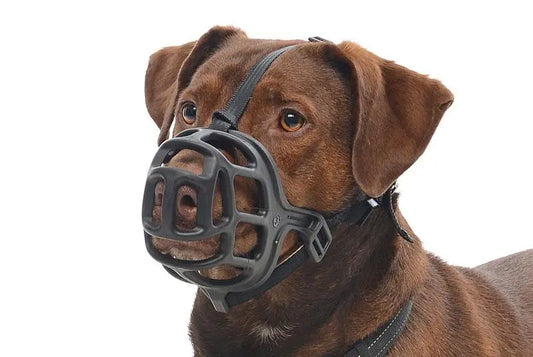 Plastic Buster Muzzle Size 6