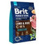 Brit Premium By Nature Dog Sensitive Lamm 3Kg für Hunde