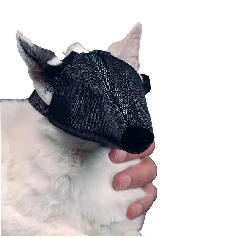 Buster Nylon-Maulkorb für Katzen