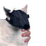 Buster Nylon-Maulkorb für Katzen