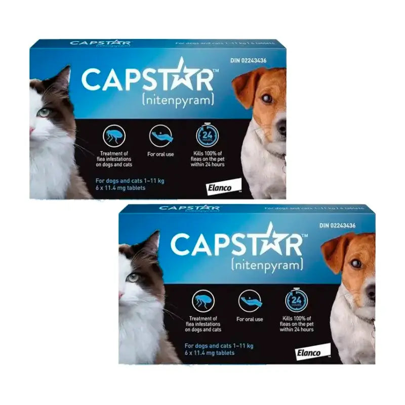 Capstar 11,45Mg Hund & Katze 1-11Kg , Packung 2 x 6 Tabletten