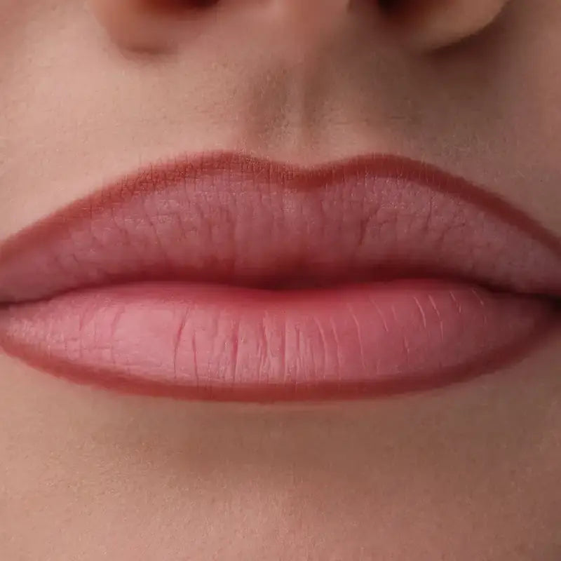 Catrice Lippenkonturenstift Precision Ink 060, 1 ml