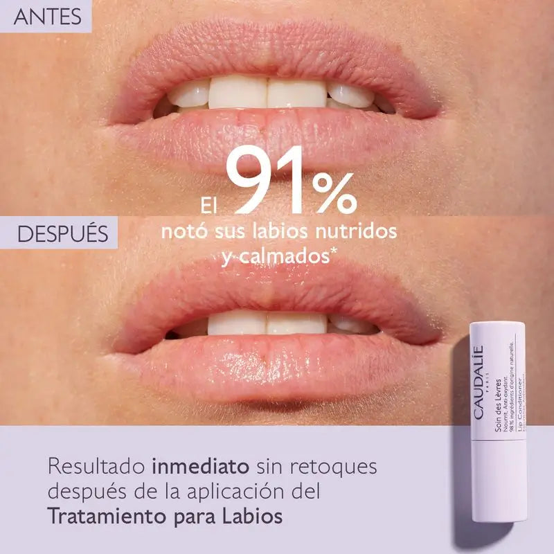 Caudalie Lippenpflege, 4,5 g