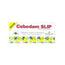 Cebedam Cebedam Slip 20Un