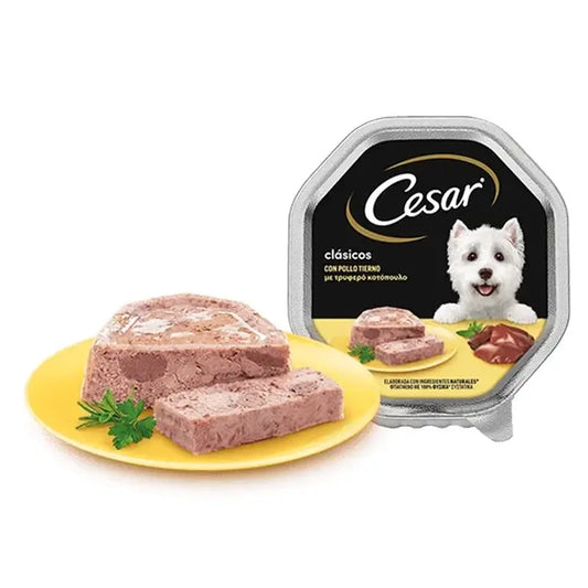 Cesar Bulkpack Huhn 20+8X150G