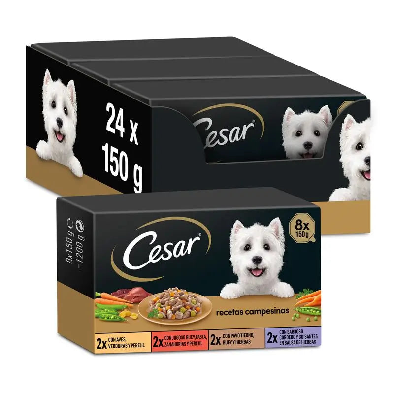 Cesar Campesina Multipack Tarrinas Schachtel 3X8X150Gr