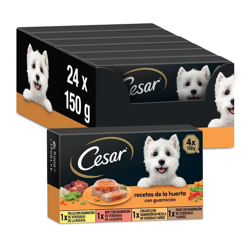 Cesar Multipack Garten Auswahl Box 6X4X150Gr