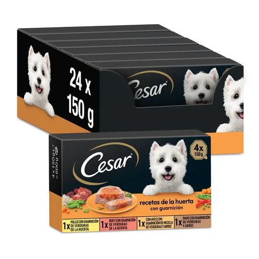 Cesar Multipack Garten Auswahl Box 6X4X150Gr
