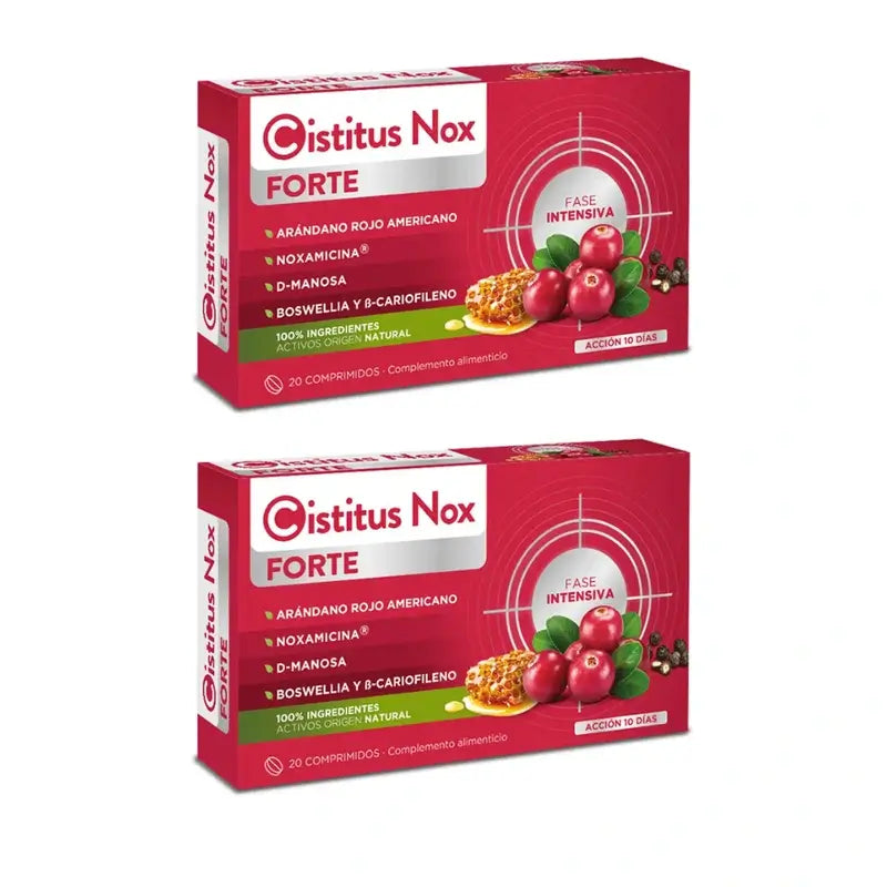 Cistitus Nox Forte, 2X20 Tabletten