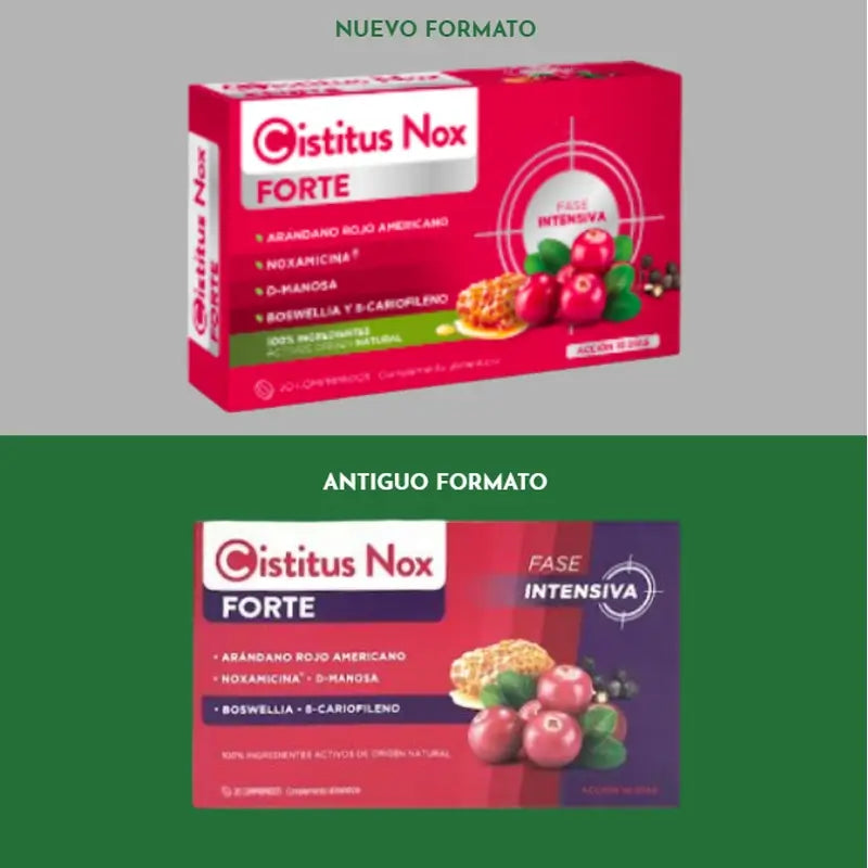 Cistitus Nox Forte, 2X20 Tabletten
