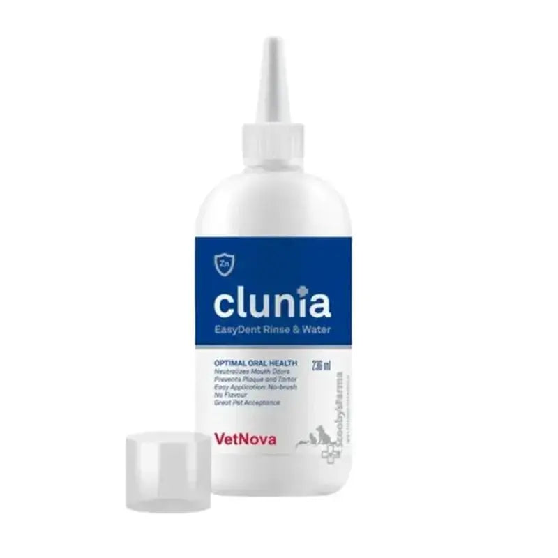 Clunia Easydent Spülung & Wasser, 236 ml