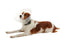 Isabelino Buster Clic Necklace 25, 10pcs