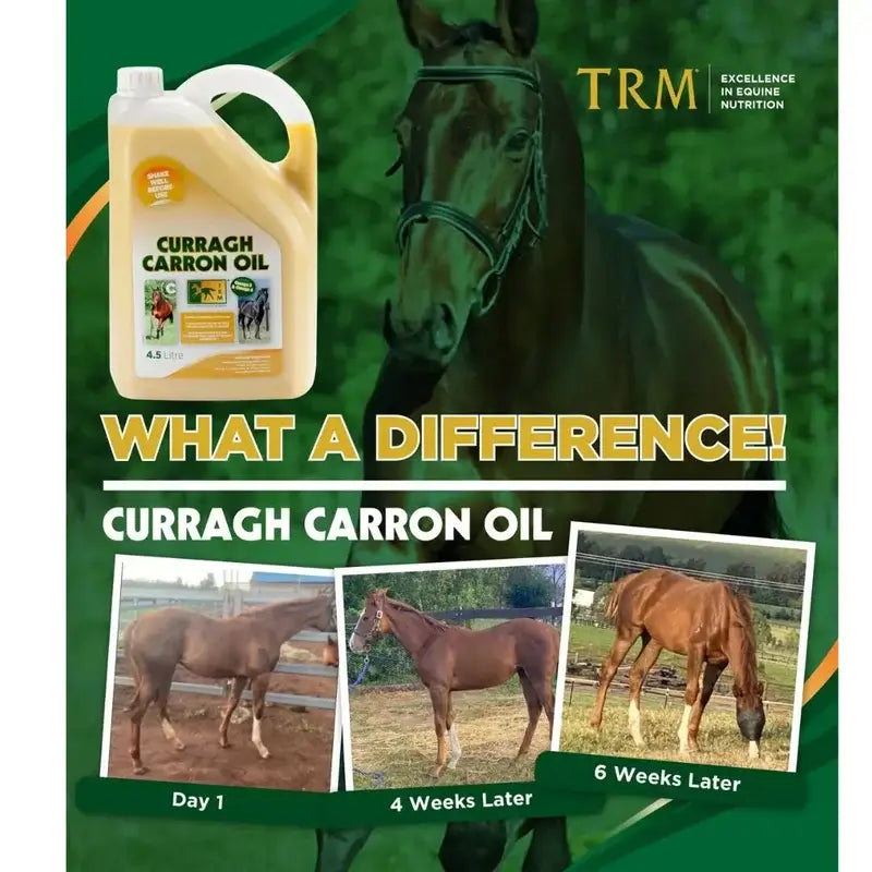 Curragh Carron Öl 4,5 Liter. Omega 3-6