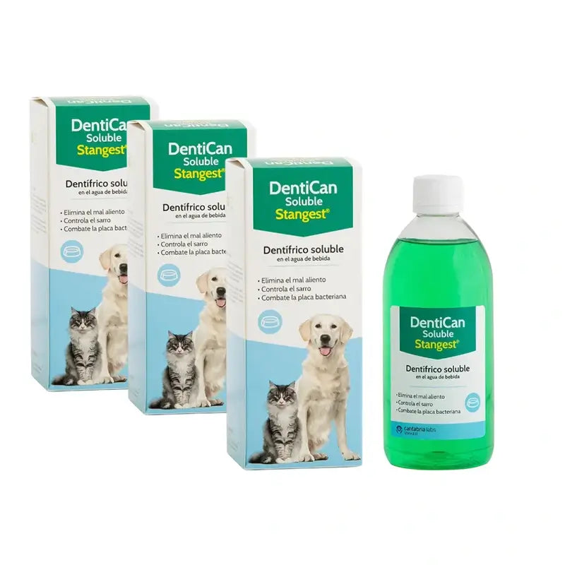 Dentican Stangest Löslich, 3X500 Ml
