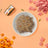 Dibaq Sense Wet Food for Neutered Cats – Turkey with Pumpkin, 12 x 70 g