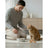 Dibaq Sense Wet Food for Neutered Cats – Turkey with Pumpkin, 12 x 70 g