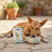 Dibaq Sense Grain-Free Wet Dog Food – Portuguese-Style Cod, 12 x 380 g