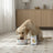 Dibaq Sense Wet Dog Food – Salmon and Turkey for Puppies, 12 x 380 g