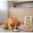 Dibaq Sense Low-Grain Fish Dog Food for Adult Dogs, 2 kg