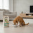 Dibaq Sense Low-Grain Chicken Light or Senior Dog Food, 12 kg