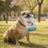 Dibaq Sense Light Weight Turkey Dog Snacks, 8 x 100 g