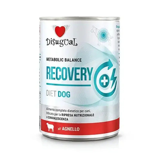 Disugual Diet Hund Erholung Lamm 6X400Gr