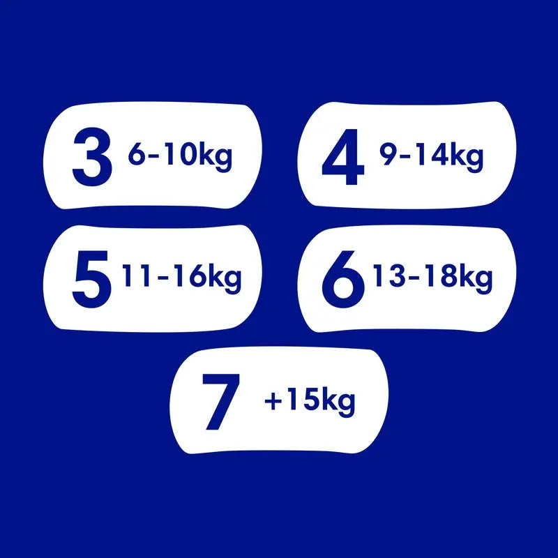 Dodot Baby Dry Größe 6, 48 Windeln