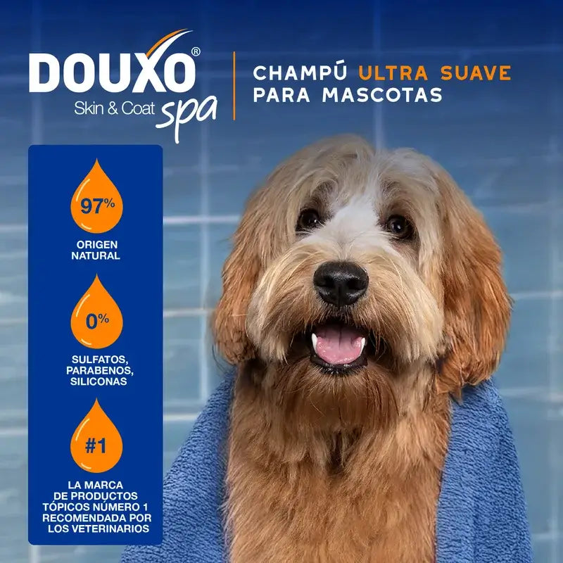 Douxo Skin & Coat Spa 2 In 1 Hundeshampoo & Pflegespülung, 250 ml