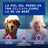Douxo Skin & Coat Spa Beruhigendes Hundeshampoo, 250 ml