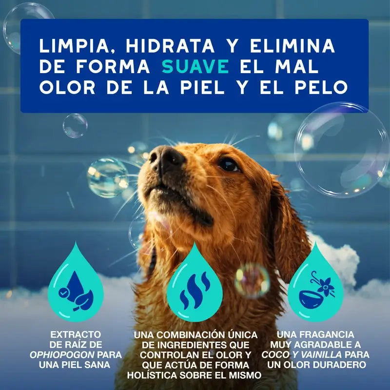 Douxo Skin & Coat Spa Anti-Schmerz Hundeshampoo, 250 ml