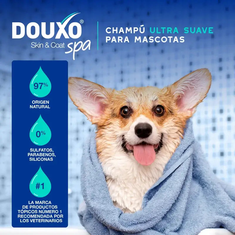 Douxo Skin & Coat Spa Anti-Schmerz Hundeshampoo, 250 ml