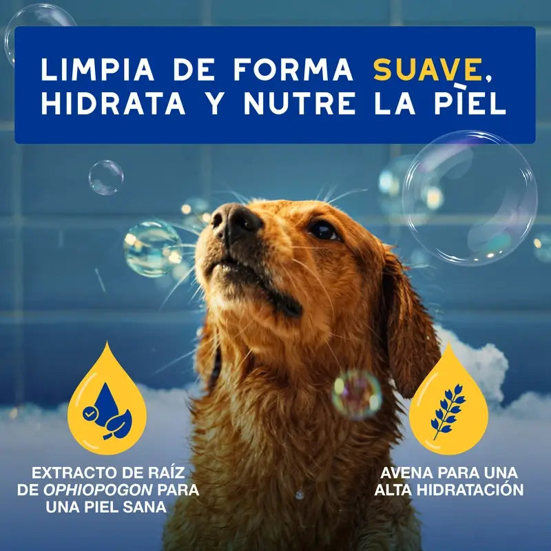 Douxo Skin & Coat Spa Haferflocken-Shampoo für Hunde, 250 ml