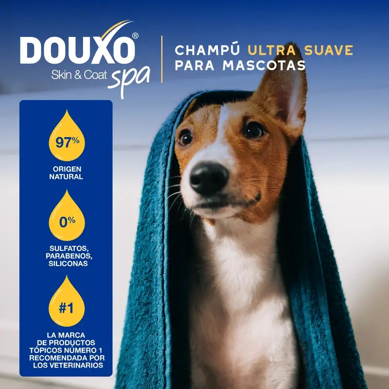 Douxo Skin & Coat Spa Haferflocken-Shampoo für Hunde, 250 ml